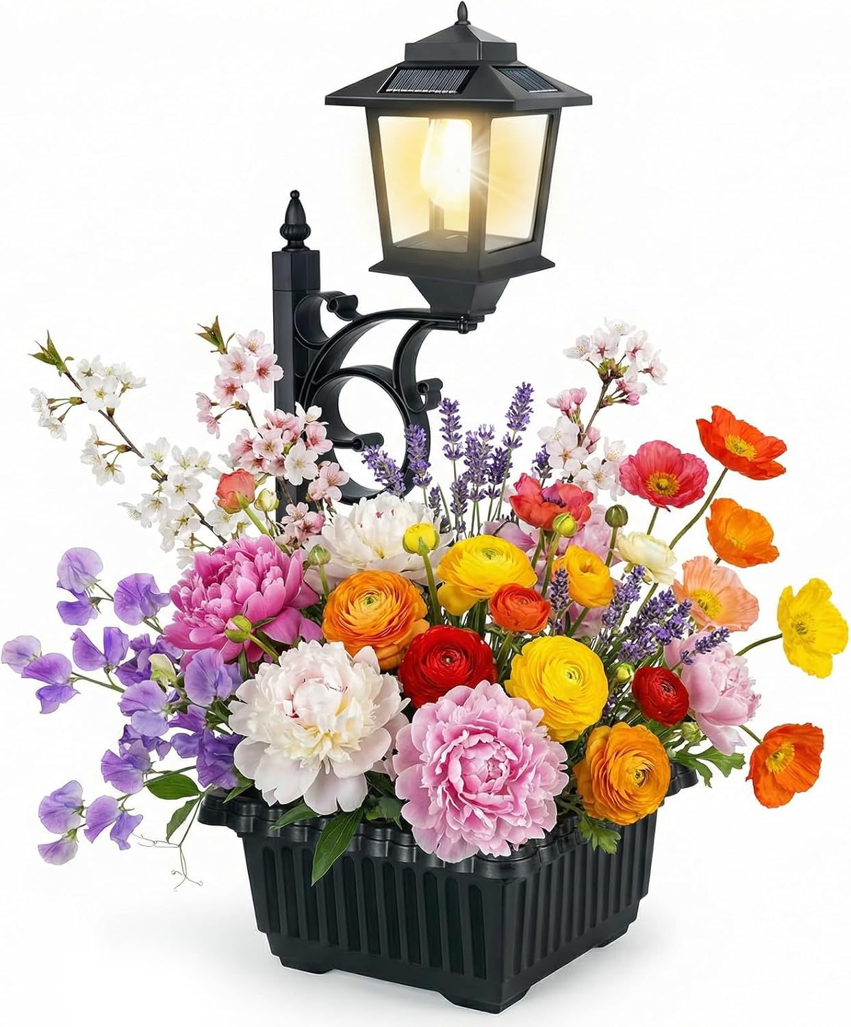 Outdoor Lights